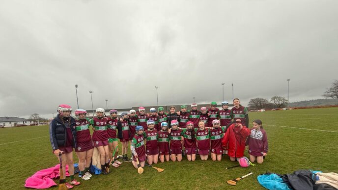 Our féile team progress to the Derry Camogie Féile Final